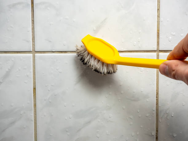 Best Office Mold Removal Services  in Lake Oswego, OR